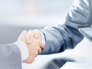 新市區公司注冊與商務信息咨詢 一站式服務助力企業啟航